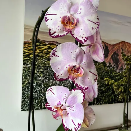 Apartamento Marconi Skyline Bolonha