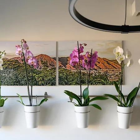 Appartamento Marconi Skyline Bologna