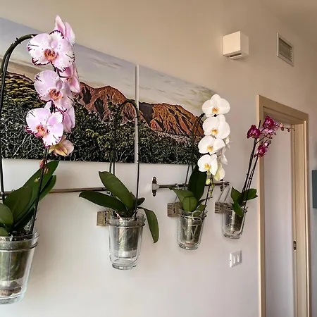 Marconi Skyline Bologna